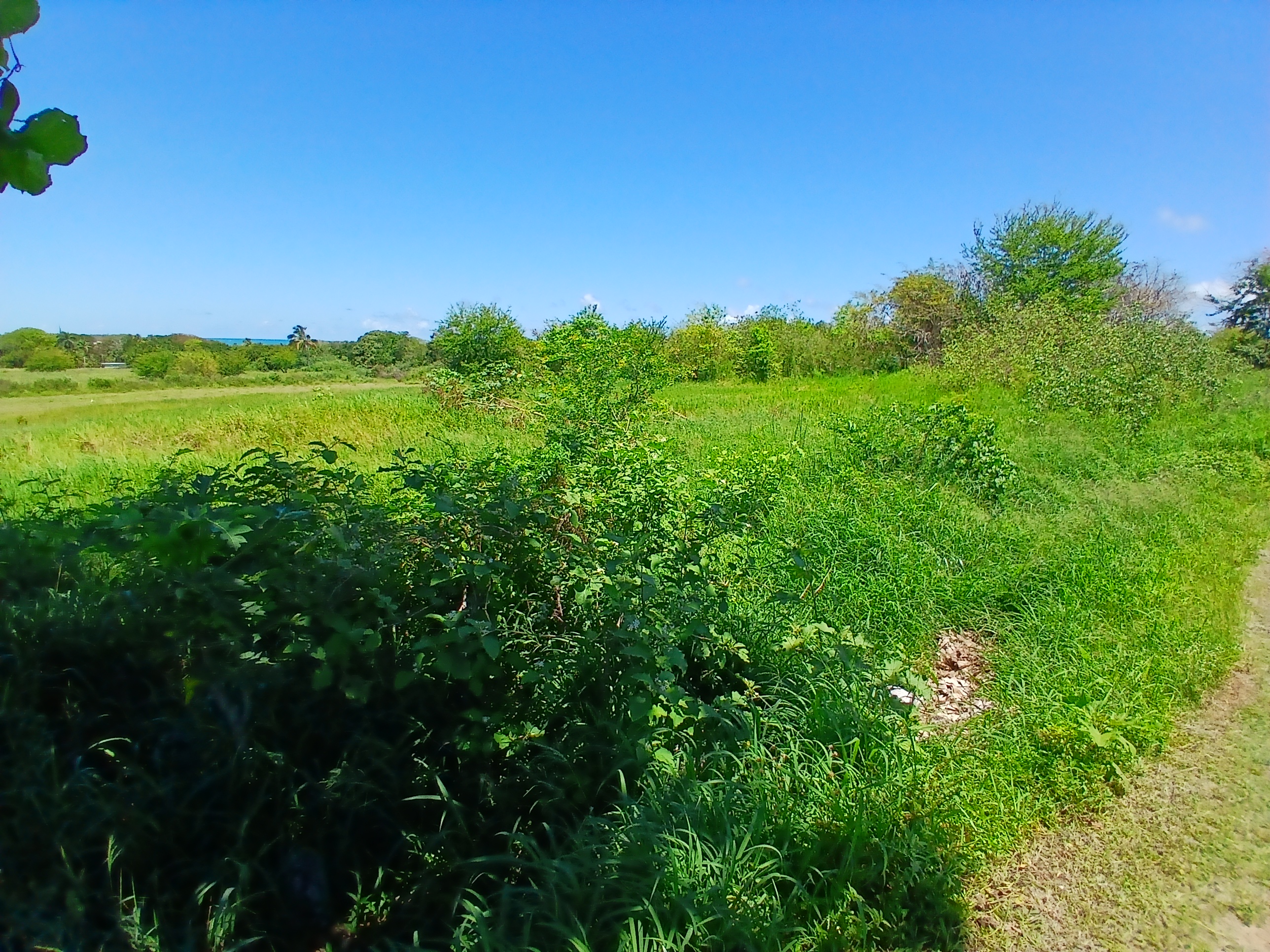 Half-acre lot in the Palmas Altas neighborhood of Barceloneta, Puerto Rico, near the north-shore beaches